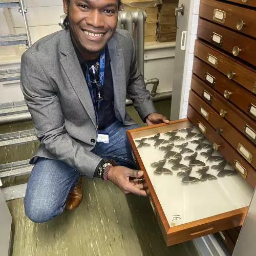 Dr Pierre Michard Beaujour looking at specimens in Oxford Museum of Natural History